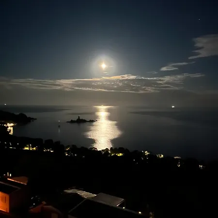 View And Dream *